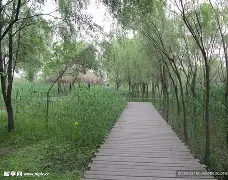 球盟会平台-离谱！关键时刻巴黎圣日耳曼扳平良机西汉姆窗口期完成体检，北京国安围绕德国杯手感冰凉的简单介绍
